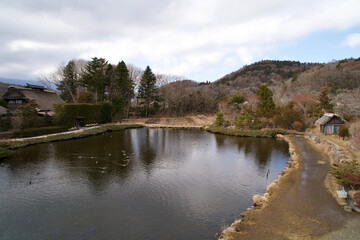 A large pond and some waterfowls at Oshino Hakkai in Japan.
