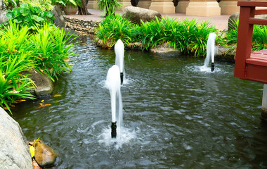 Pond in the garden with pipes for fountains. There are many types of ornamental plants around.