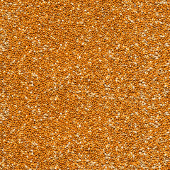 Textured square background of unpeeled millet grain, top view