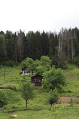Black Sea, Rize Amlakit plateau Turkey, View