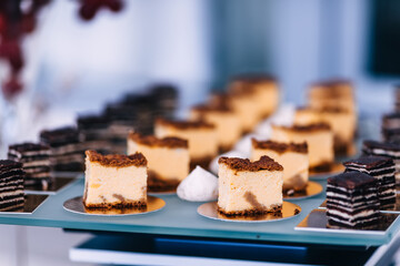 wedding candy bar with slices of delicious pie. close up.