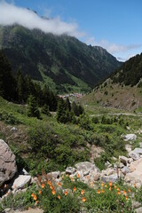 A beautiful landscape from the Elevit plateau  of Rize in Black Sea region of Turkey.