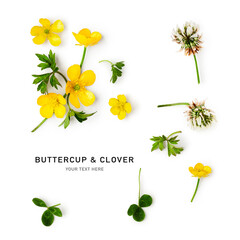 Buttercup flowers creative composition.