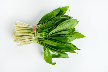 Bunch of young fresh wild garlic.
