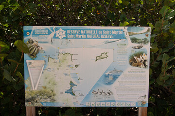 Ile Tintamarre, Réserve naturelle nationale de Saint Martin, Petites Antilles
