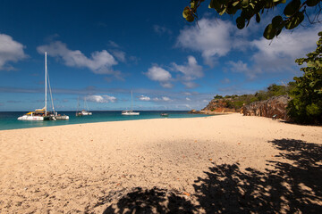 Ile Tintamarre, Réserve naturelle nationale de Saint Martin, Petites Antilles