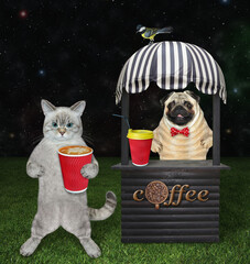An ashen cat buys coffee from a small wooden kiosk in a park at night. - 490547614