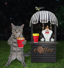 A gray cat buys coffee from a small wooden kiosk in a park at night.