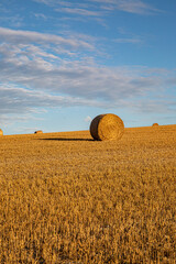 A Hay Bale in a Field in the South Downs