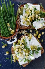 Avocado cream under feta cheese sprinkled with wheatgrass on homemade wholemeal bread