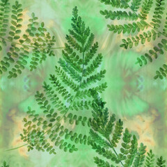 Fern branches. Watercolor painting medicinal, perfumery and cosmetic plants.. Wallpaper. Use printed materials, signs, posters, postcards, packaging. Seamless pattern.