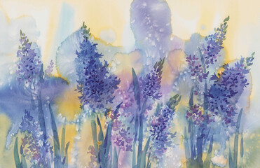 Color hyacinth spring flowers sunny watercolor background