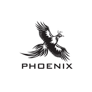 Illustration of phoenix silhouette bird flapping wings logo design,template