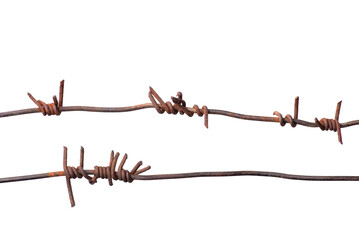 Old rusty barbed wire isolated against white background. Captivity, freedom concept