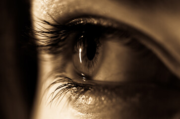beautiful female eyes and pupill and eyebrown