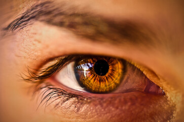 beautiful female eyes and pupill and eyebrown