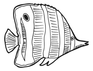 Angel fish in hand drawn style. Underwater tropical animal