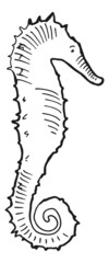 Seahorse sketch. Exotic underwater animal in hand drawn style