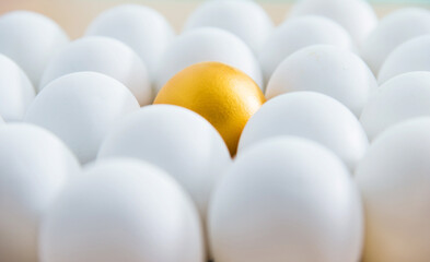 Single golden egg among white eggs