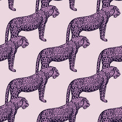 Leopard seamless pattern. Vintage wildlife animals background. © Purple_Lamp
