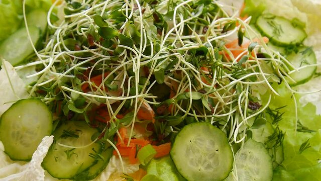 Salad of vegetables and sprouted flax seeds.