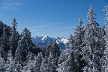 Fototapeta premium snow covered mountains, Postavaru Mountains, Romania 