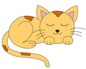 cute cat kitten sleeping vector illustration 