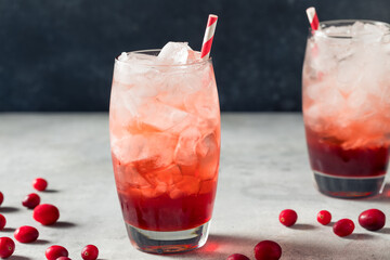 Homemade Refreshing Lingonberry Soda