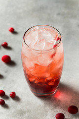 Homemade Refreshing Lingonberry Soda