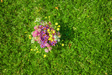 Wildblumen aus dem eigenen Garten