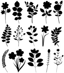 flowers, plants set silhouette isolated