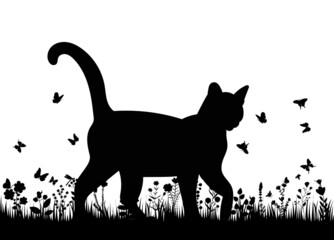 cat in the grass silhouette isolated vector