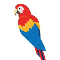 Isolated traditional colored tropical parrot Vector illustration