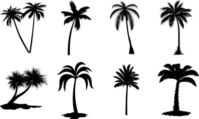 Palm Tree Illustrations Palm Tree SVG EPS PNG - obrazy, fototapety, plakaty