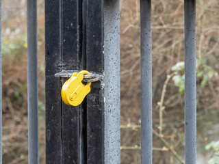 Yellow padlock on locked gate.