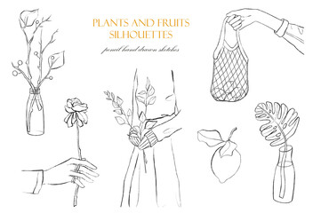 Plants and fruits silhouettes collection. Pencil hand drawn sketches on a white isolated background