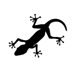 Black silhouette of lizard on white background. Illustration