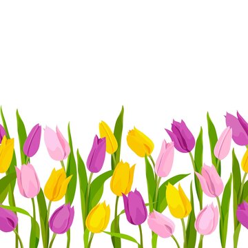 Tulips are yellow, pink. Decorative line for your decor. Spring design for postcards. Vector image