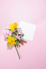 General shot, spring composition with pink background, daffodil and jasmine flowers, for Mother's Day or Woman's Day, with a white label for text.