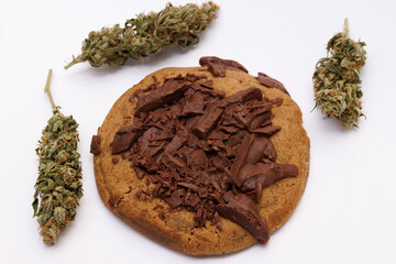 Cookies with cannabis and buds of marijuana on table on with background