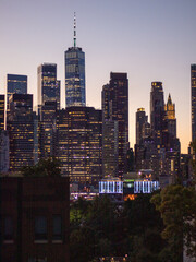 Manhattan View from Dumbo 