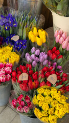 tulips, flower shop, street showcase flowers