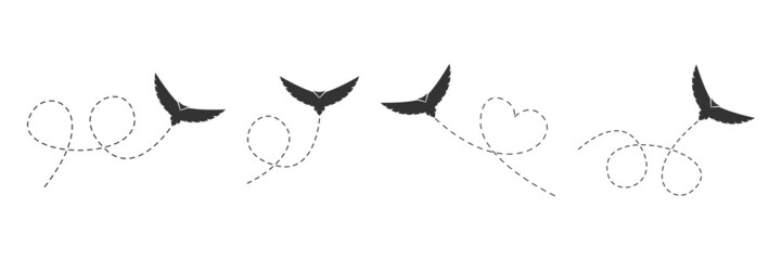 Flying bird set. Black birds flying on a dotted route isolated on the white background. Vector illustration.