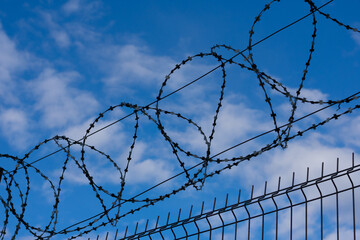 Barbed wire fence on background with blue sky and white clouds. Concept of freedom and prison...