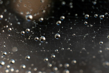 Natural background with spiderweb.Shining waterdrops on wet delicate thin threads of complicate entangled web