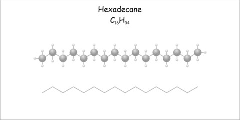Stylized molecule model/structural formula of the hydrocarbon hexadecane. 