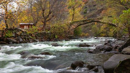 river running through the forest and autumn