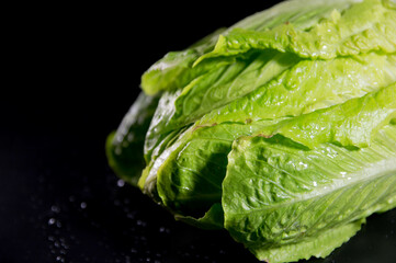 Lechuga fresca sobre fondo negro