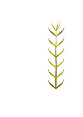wheat leaf