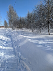 footpath in the park in winter at daytime with pleasant rays of the sun.